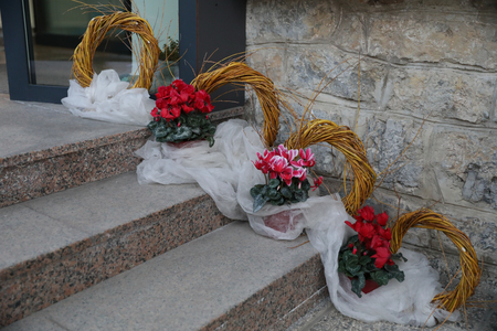 12.3.2026_mokronog_praznik_studio PraprotKa178